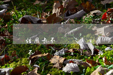 信用卡不還會(huì)拍賣房子么(信用卡不還會(huì)拍賣房子么)
