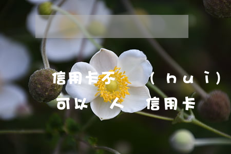 信用卡不還會(huì)有人加你微信(微信可以幫人還信用卡嗎)