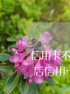 信用卡不還會(huì)有什么后果-人死后信用卡不還會(huì)有什么后果