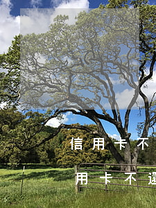 信用卡不還會(huì)有什么后果(交通信用卡不還會(huì)有什么后果)