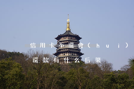 信用卡不還會(huì)有啥后果(信用卡不還款有什么后果)