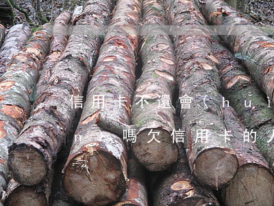 信用卡不還會(huì)沒收家產(chǎn)嗎(欠信用卡的人去世了,還用還嗎?名下沒有財(cái)產(chǎn))