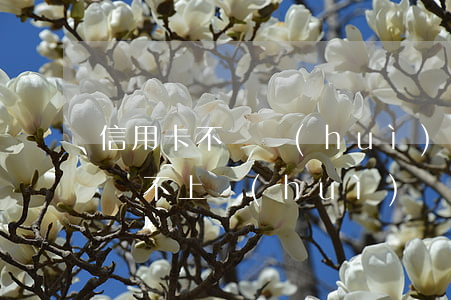 信用卡不還會(huì)牽連父母嗎(信用卡還不上會(huì)連累父母兄弟嗎)