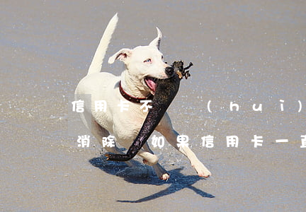 信用卡不還會(huì)自動(dòng)消除嗎(如果信用卡一直不還的話怎么后果)