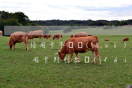信用卡不還會(huì)被法院判刑嗎(欠信用卡判刑出來(lái)沒(méi)還還是要判刑嗎)