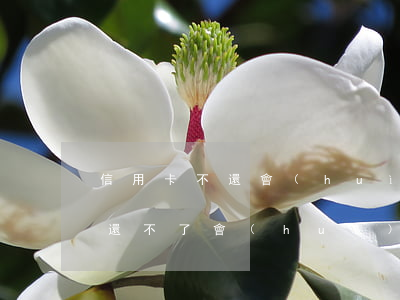 信用卡不還會(huì)讓孩子還么(信用卡還不了會(huì)影響自己的孩子嗎)