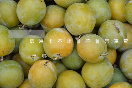 信用卡不還會不會汽車查封(欠信用卡會查封車嗎)