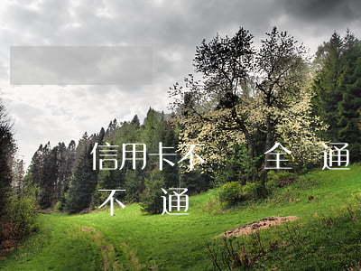 信用卡不還會全國通緝嗎(信用卡逃避久了會不會通緝)