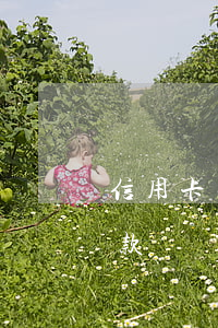 信用卡不還會凍結資金嗎(信用卡凍結還不了款)