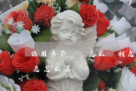 信用卡不還會怎么樣利息(信用卡逾期不還利息怎么算)