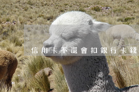 信用卡不還會扣銀行卡錢嗎
