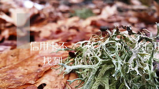 信用卡不還會找到單位嗎(欠信用卡銀行會不會找到單位)