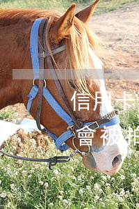 信用卡不還會拍賣宅基地嗎(欠信用卡宅基地會被拍賣嗎)