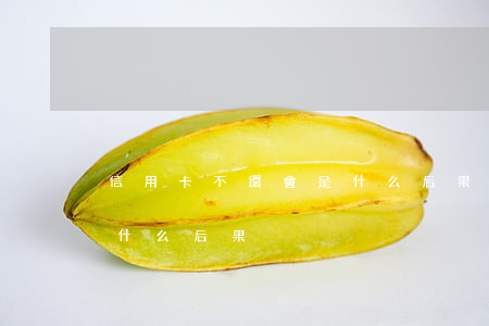 信用卡不還會是什么后果(信用卡不還最終有什么后果)