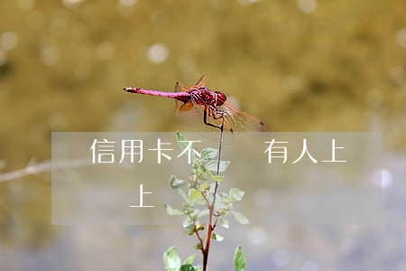 信用卡不還會有人上門嗎(信用卡還不上真的會上門)
