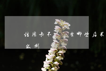 信用卡不還會有哪些后果(信用卡不還會有什么影響)