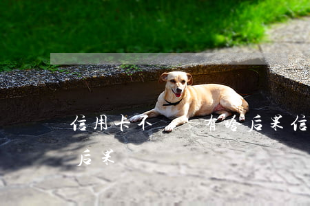 信用卡不還會有啥后果(信用卡不還款有什么后果)