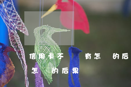 信用卡不還會有怎樣的后果(信用卡不還會有怎樣的后果)