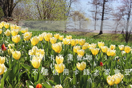 信用卡不還會聯(lián)系老婆嗎(老公不還信用卡錢,老婆會受牽連嗎)