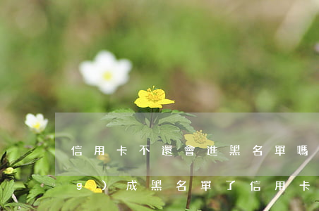 信用卡不還會進黑名單嗎(如果已經(jīng)成黑名單了信用卡還不上怎么辦?)
