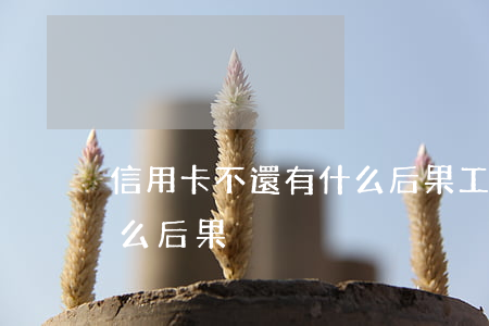 信用卡不還有什么后果(工商信用卡不還有什么后果)
