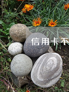 信用卡不還有什么問題嗎(信用卡不還會怎樣)