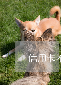 信用卡不還有啥影響(為什么信用卡不能還款)