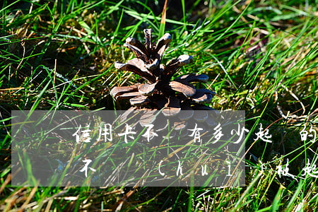 信用卡不還有多少起訴的(一張信用卡欠多少不還會(huì)被起訴)