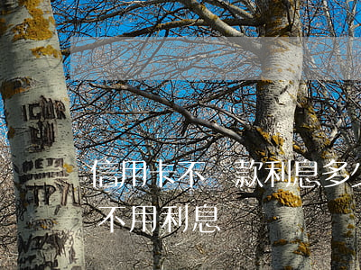 信用卡不還款利息多少(信用卡借款多久還款不用利息)