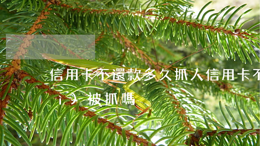 信用卡不還款多久抓人(信用卡不還會(huì)被抓嗎)