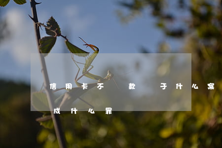 信用卡不還款屬于什么案件(用信用卡不還構成什么罪)
