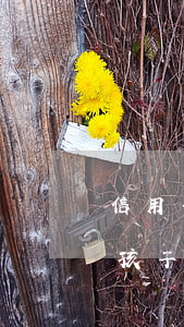 信用卡不還款影響兒子么(父親信用卡不還對孩子的影響)