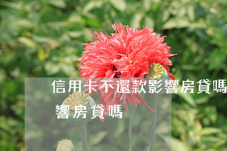 信用卡不還款影響房貸嗎(信用卡的負債會影響房貸嗎)