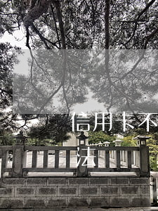 信用卡不還款承擔法律責任(欠信用卡不還違法嗎)