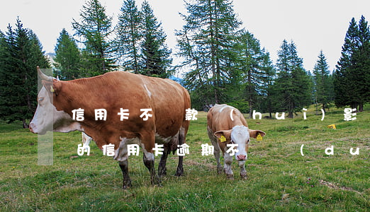信用卡不還款會(huì)影響父母嗎(父親的信用卡逾期不還對(duì)子女的影響嗎)