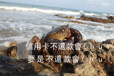 信用卡不還款會(huì)怎樣后果(信用卡要是不還款會(huì)怎么樣)