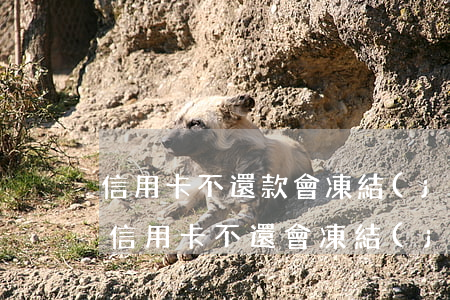 信用卡不還款會凍結(jié)配偶(丈夫的信用卡不還,會凍結(jié)妻子的卡嗎)