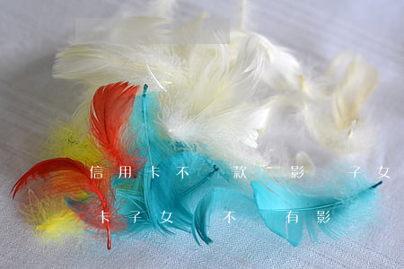 信用卡不還款會影響子女嗎(父母還不上信用卡,子女會不會有影響)