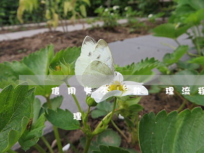 信用卡不還款處理流程(信用卡無法還款如何處理)