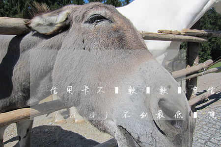 信用卡不還款貸款額度(信用卡有還款,但是達(dá)不到最低額度)