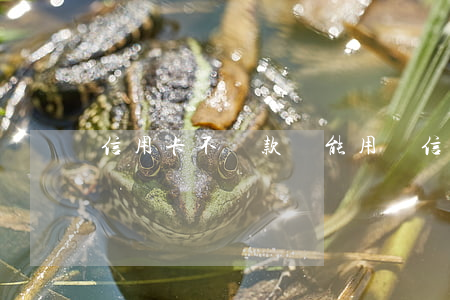 信用卡不還款還能用嗎(信用卡可以不用還嗎)
