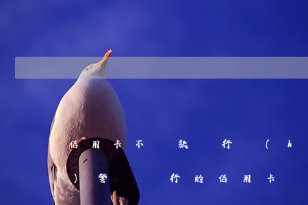 信用卡不還款銀行會(huì)報(bào)警嗎(銀行的信用卡還不上有什么后果)