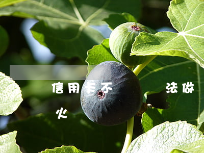 信用卡不還沒辦法做動車(信用卡逾期坐不了火車嗎)