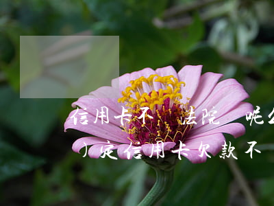 信用卡不還法院則呢么辦(民法典規(guī)定信用卡欠款不還處理)