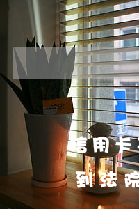 信用卡不還法院會(huì)怎么樣(銀行告到法院也還不起信用卡怎么辦)