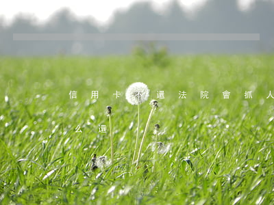 信用卡不還法院會抓人嗎(人給抓了信用卡怎么還)