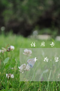 信用卡不還派出所有權(quán)抓嗎(刑事拘留導(dǎo)致還不了信用卡后果嚴(yán)重不)