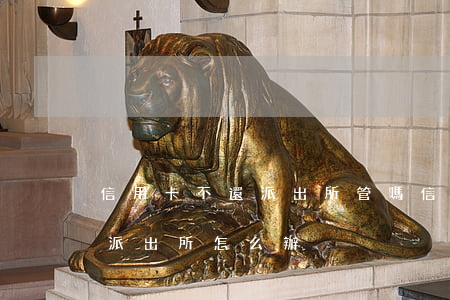 信用卡不還派出所管嗎(信用卡還不上被帶到派出所怎么辦)