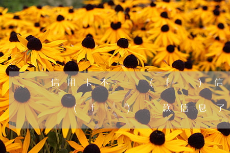 信用卡不還發(fā)信息(為什么信用卡不發(fā)還款信息了)