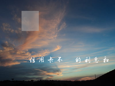 信用卡不還的利息和滯納金(信用卡 滯納金)